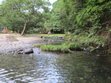 三滝堂ふれあい公園 Sotomesi そとめし